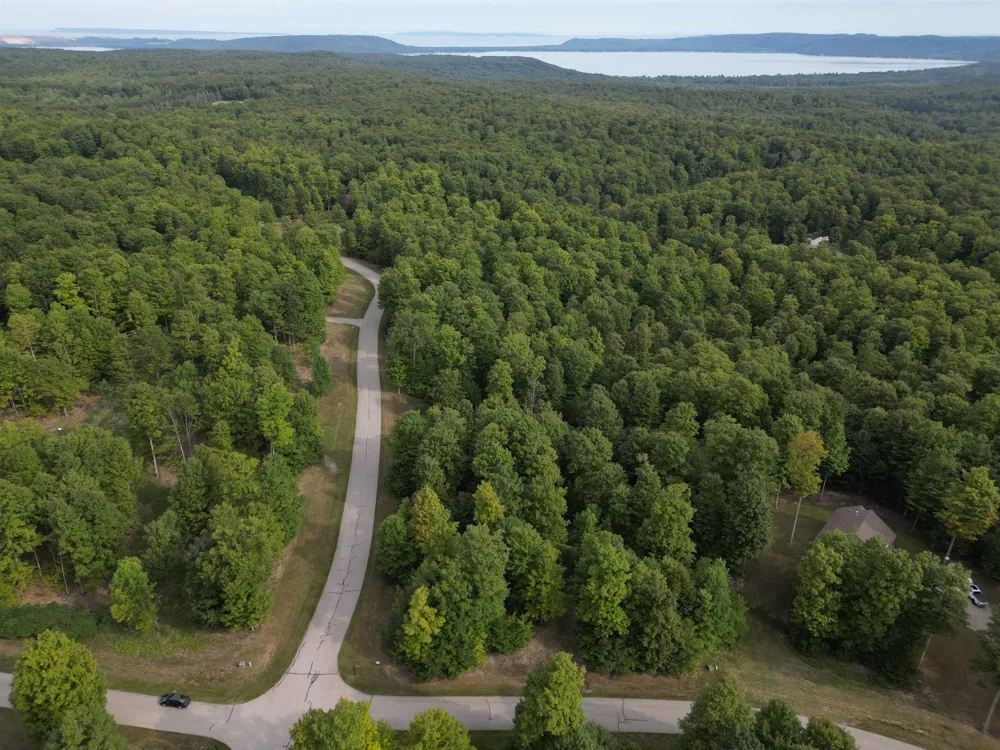 11 W Timber View Trail Empire Township, MI 49630