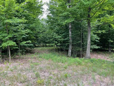 11 W Timber View Trail