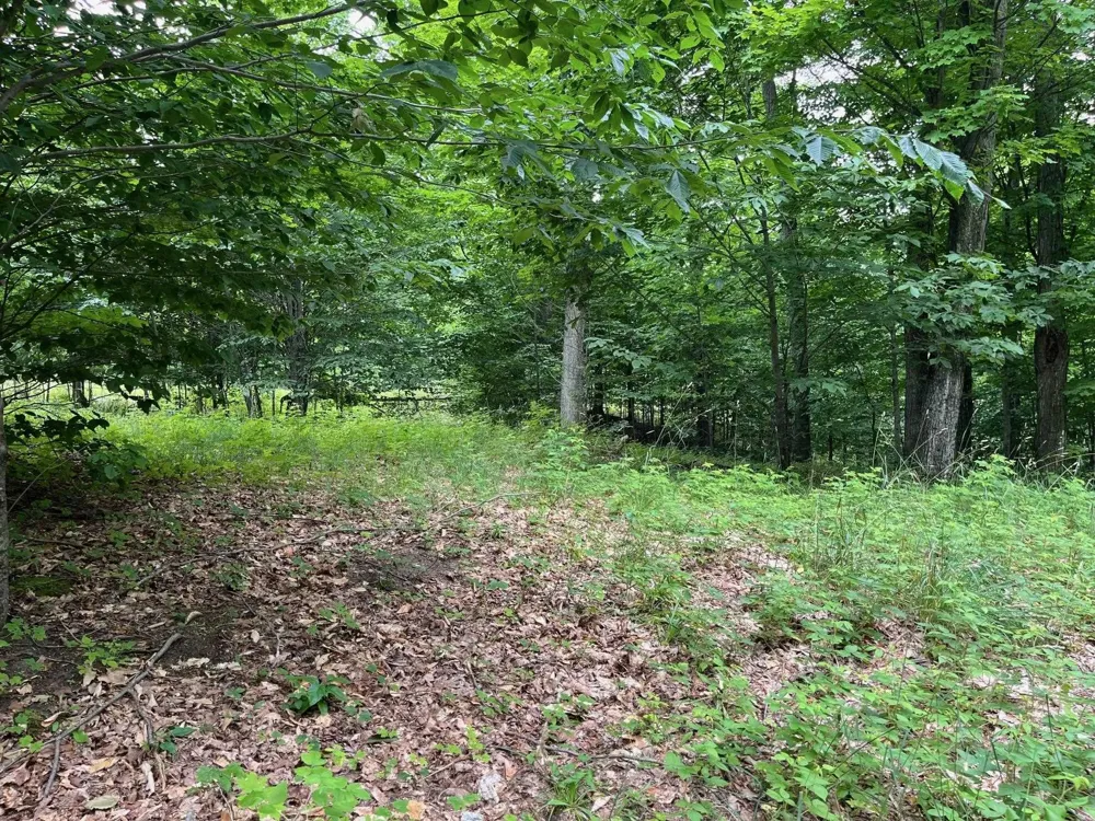 11 W Timber View Trail Empire Township, MI 49630