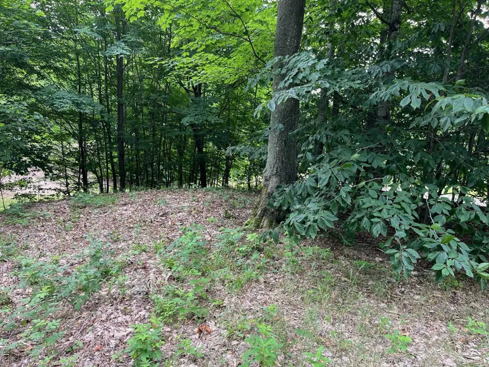 11 W Timber View Trail Empire Township, MI 49630