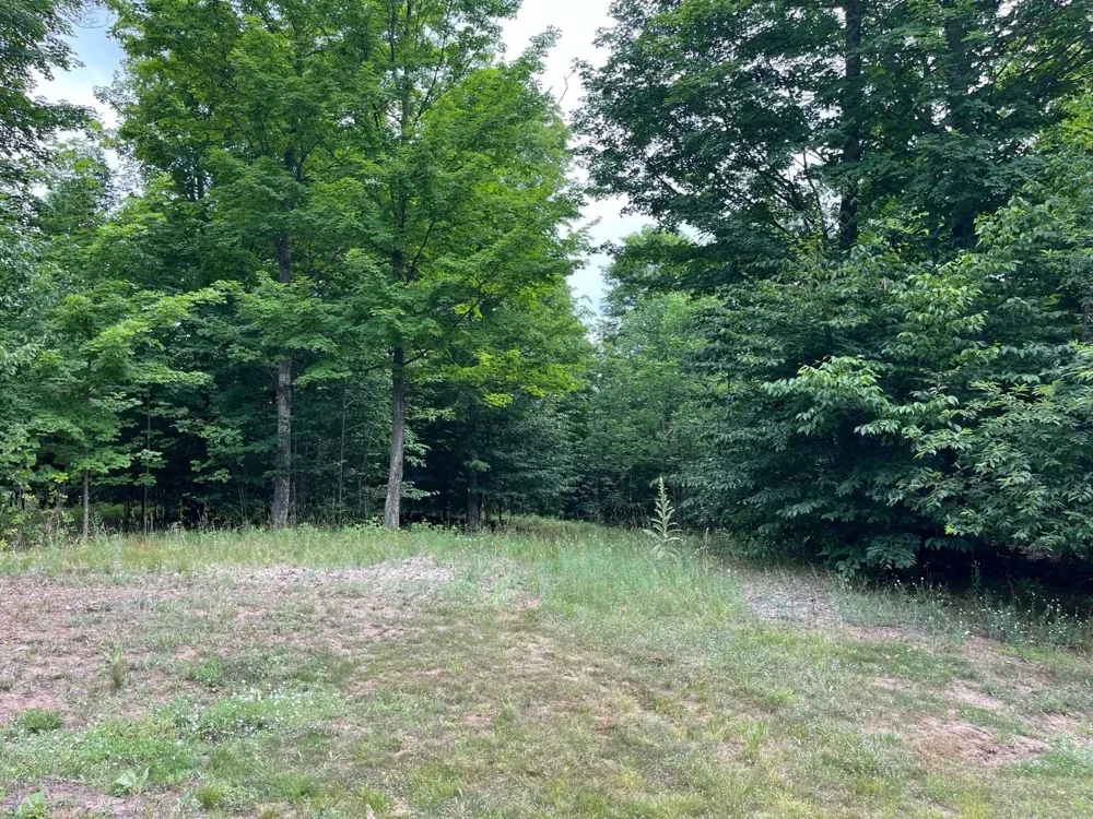 11 W Timber View Trail Empire Township, MI 49630