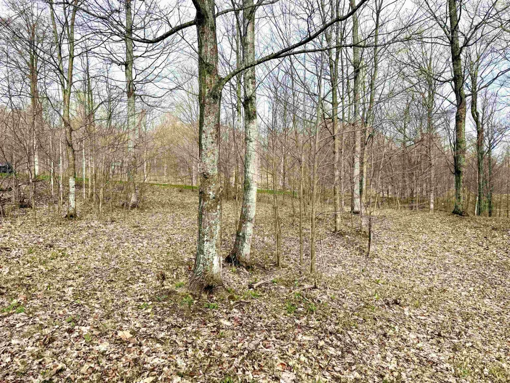 11 W Timber View Trail Empire Township, MI 49630
