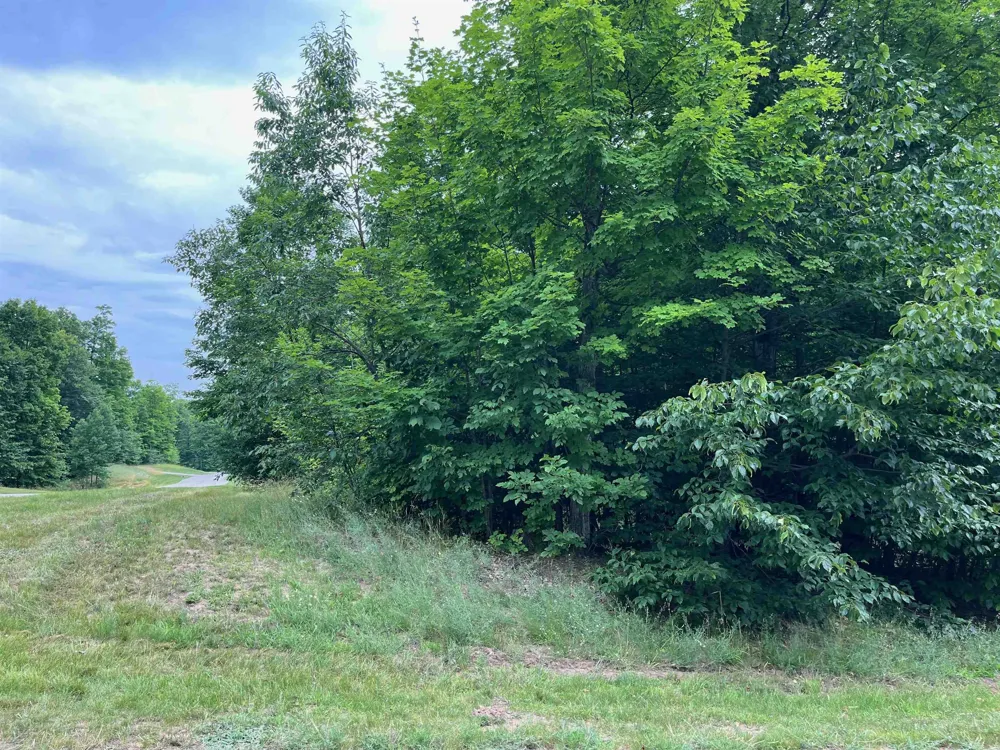 11 W Timber View Trail Empire Township, MI 49630