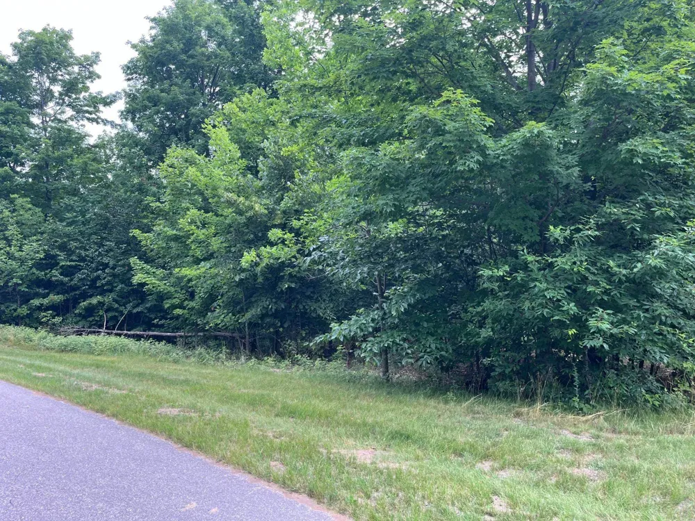 11 W Timber View Trail Empire Township, MI 49630
