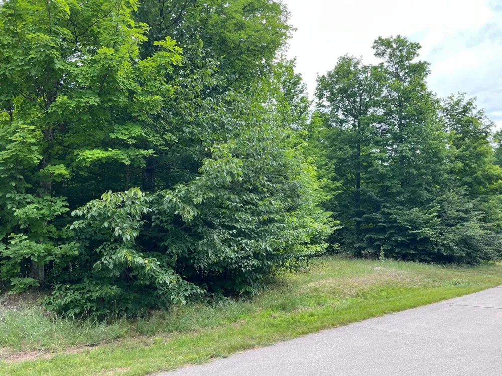 11 W Timber View Trail Empire Township, MI 49630