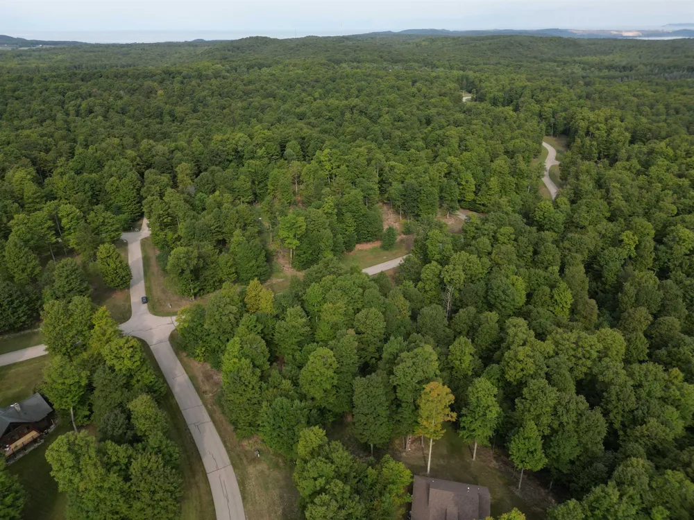 11 W Timber View Trail Empire Township, MI 49630