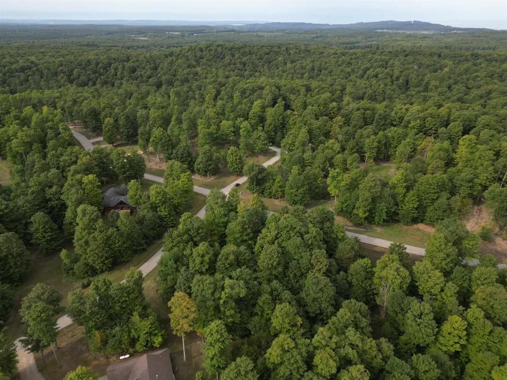 11 W Timber View Trail Empire Township, MI 49630
