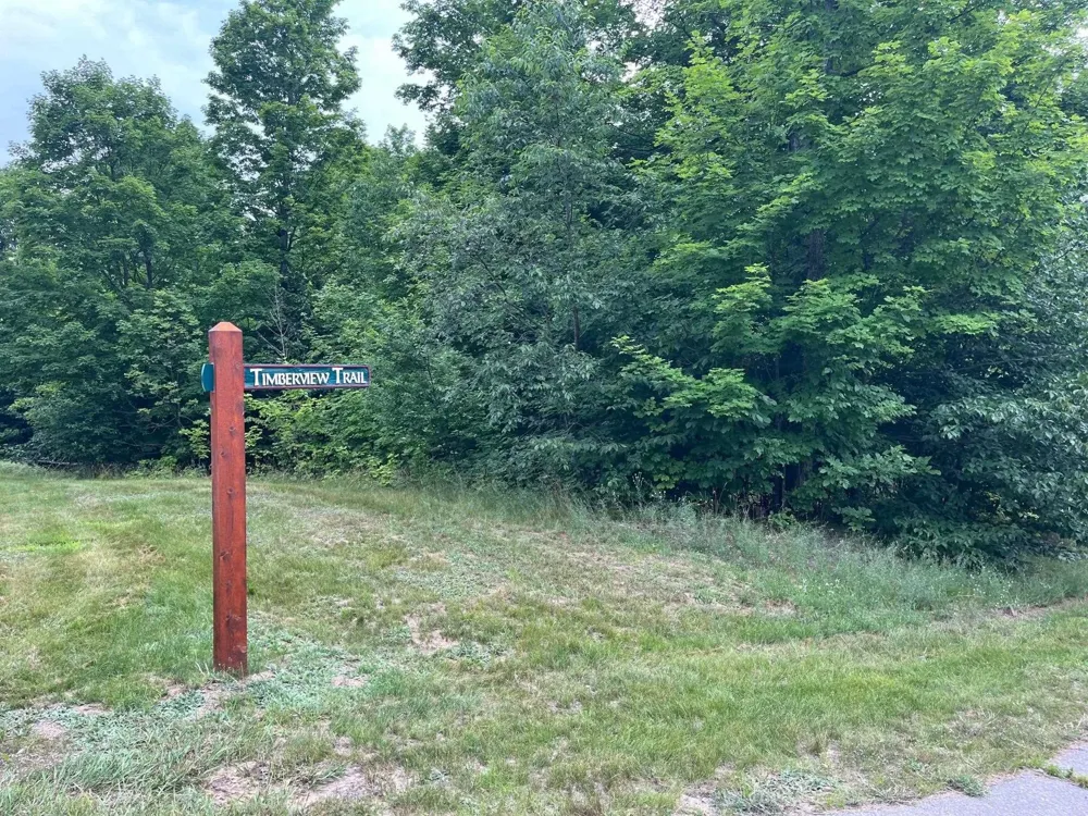 11 W Timber View Trail Empire Township, MI 49630