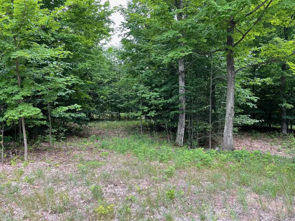 11 W Timber View Trail Empire Township, MI 49630