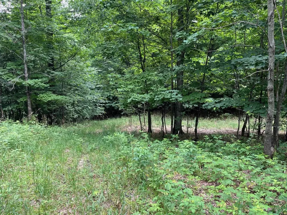 11 W Timber View Trail Empire Township, MI 49630