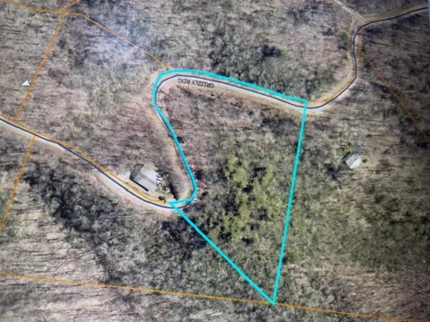 Grizzly Ridge