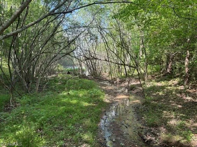 4100 High Rock Road Gibsonville, NC 27249