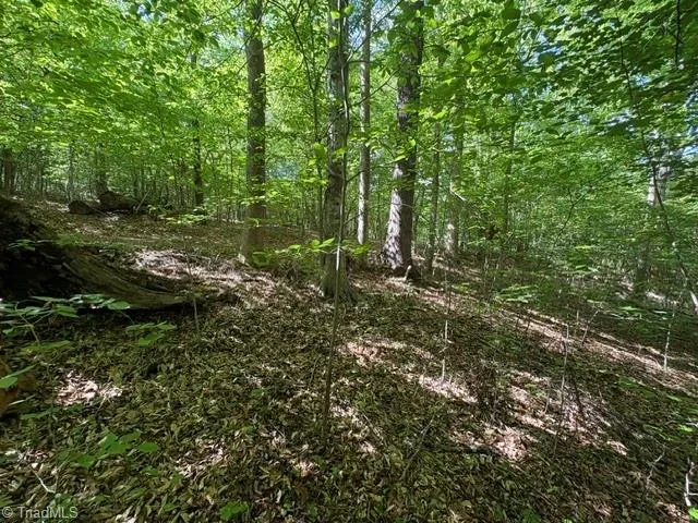 4100 High Rock Road Gibsonville, NC 27249