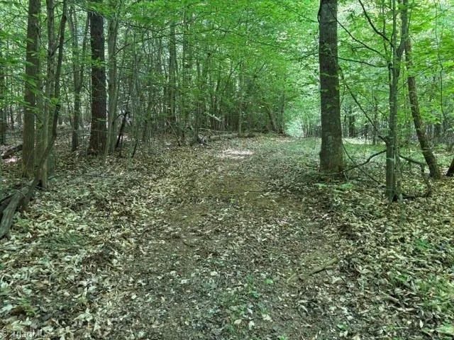 4100 High Rock Road Gibsonville, NC 27249