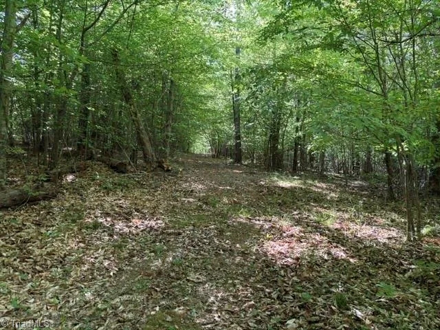 4100 High Rock Road Gibsonville, NC 27249