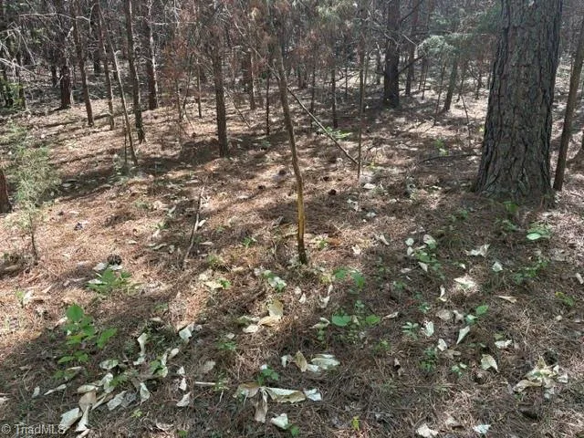 4100 High Rock Road Gibsonville, NC 27249