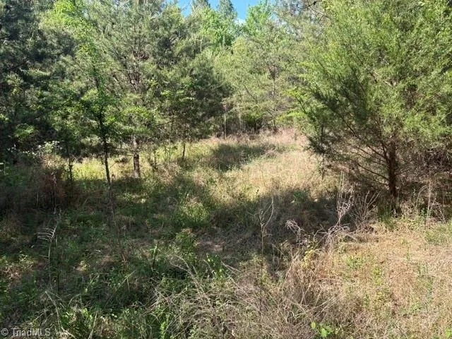 4100 High Rock Road Gibsonville, NC 27249