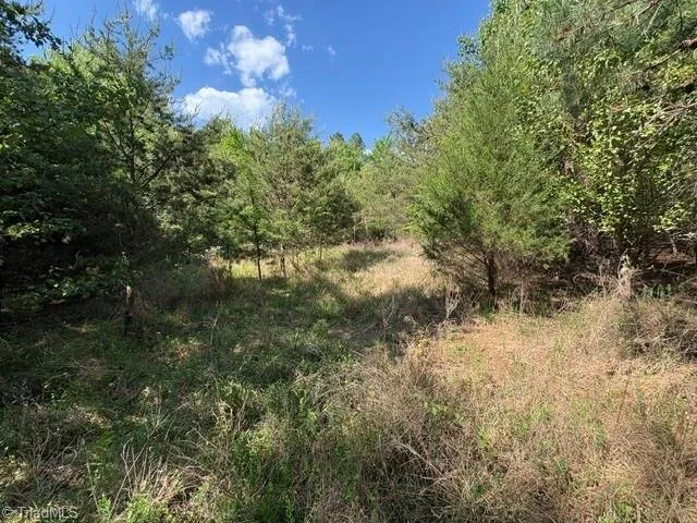 4100 High Rock Road Gibsonville, NC 27249