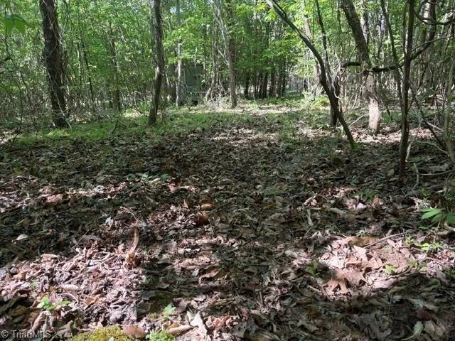 4100 High Rock Road Gibsonville, NC 27249