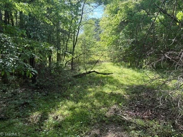 4100 High Rock Road Gibsonville, NC 27249