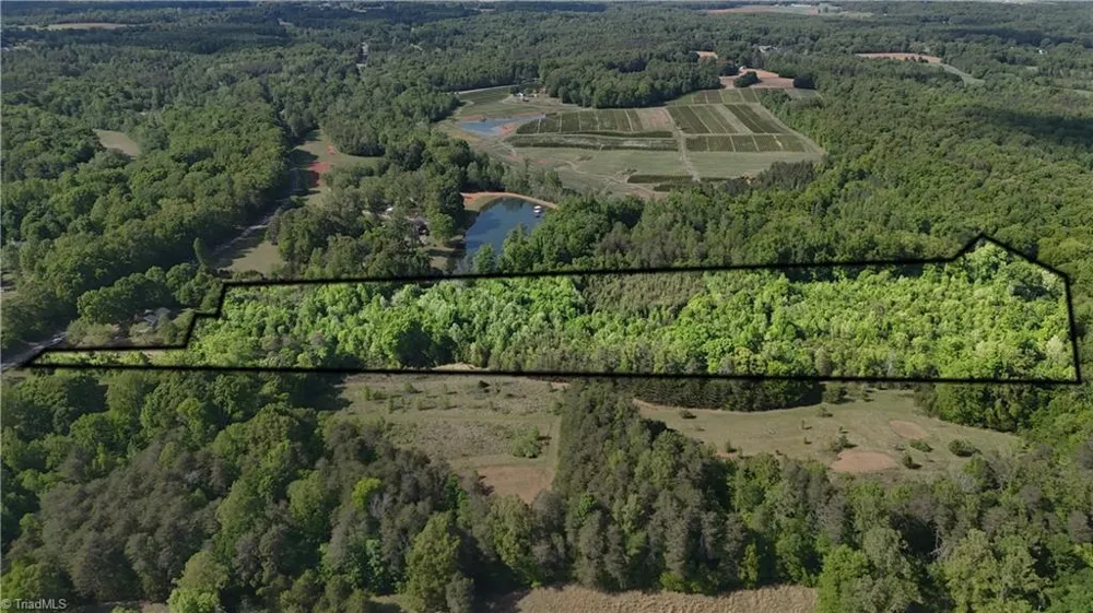 4100 High Rock Road Gibsonville, NC 27249