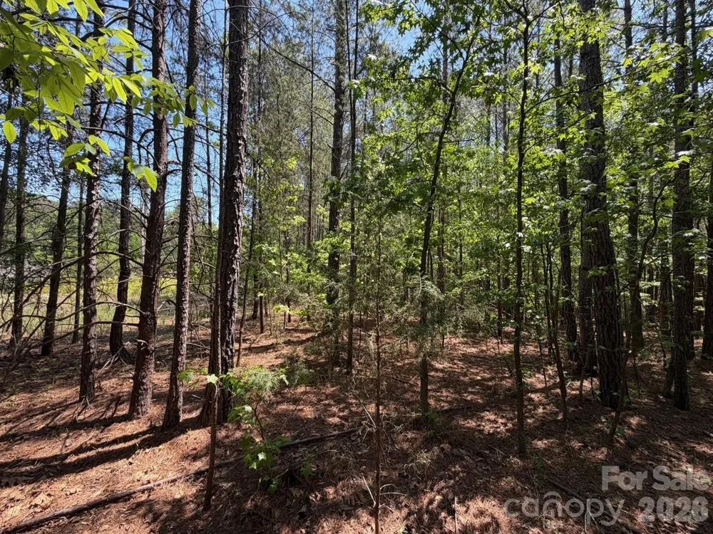 7 AC Terry Drive Highway Union, SC 29379