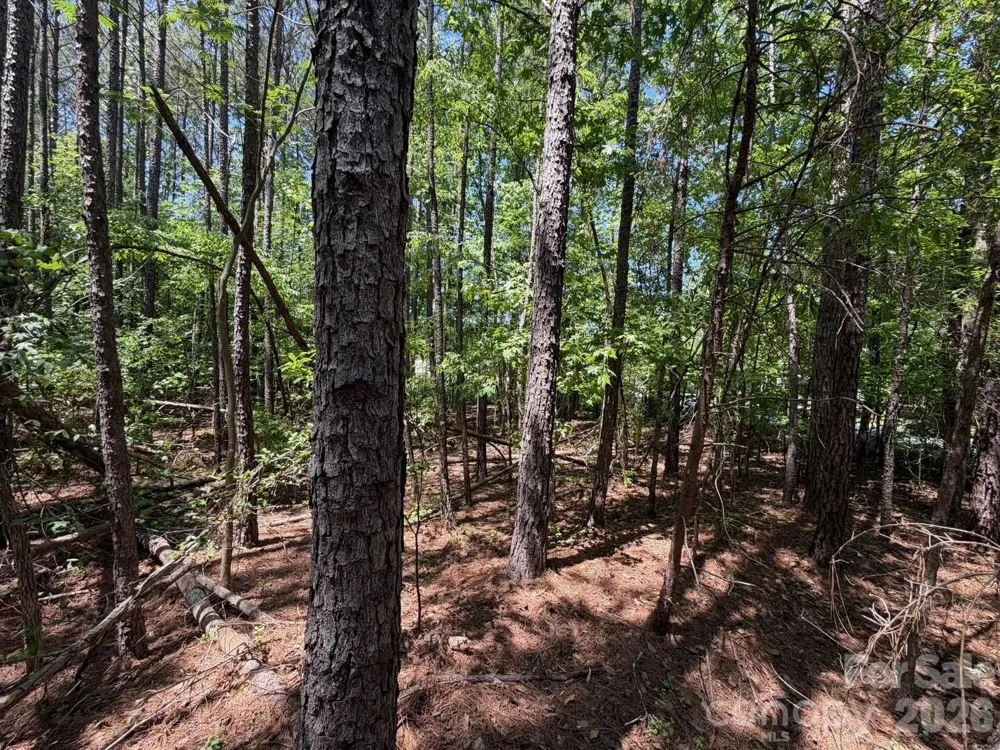 7 AC Terry Drive Highway Union, SC 29379
