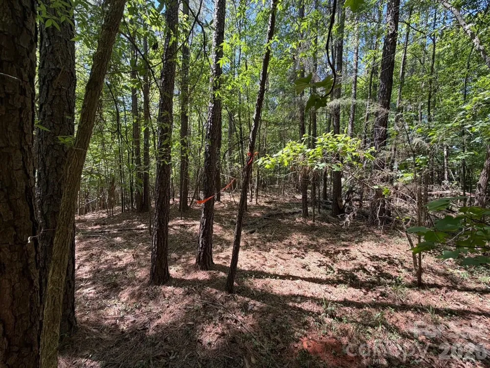 7 AC Terry Drive Highway Union, SC 29379