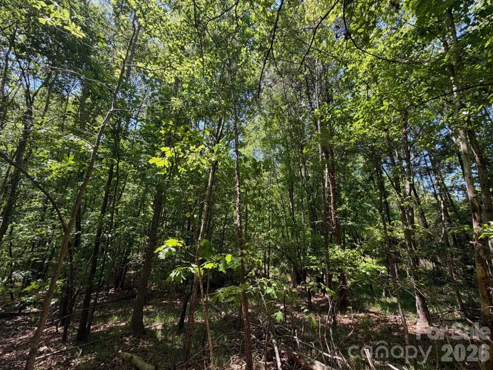 7 AC Terry Drive Highway Union, SC 29379