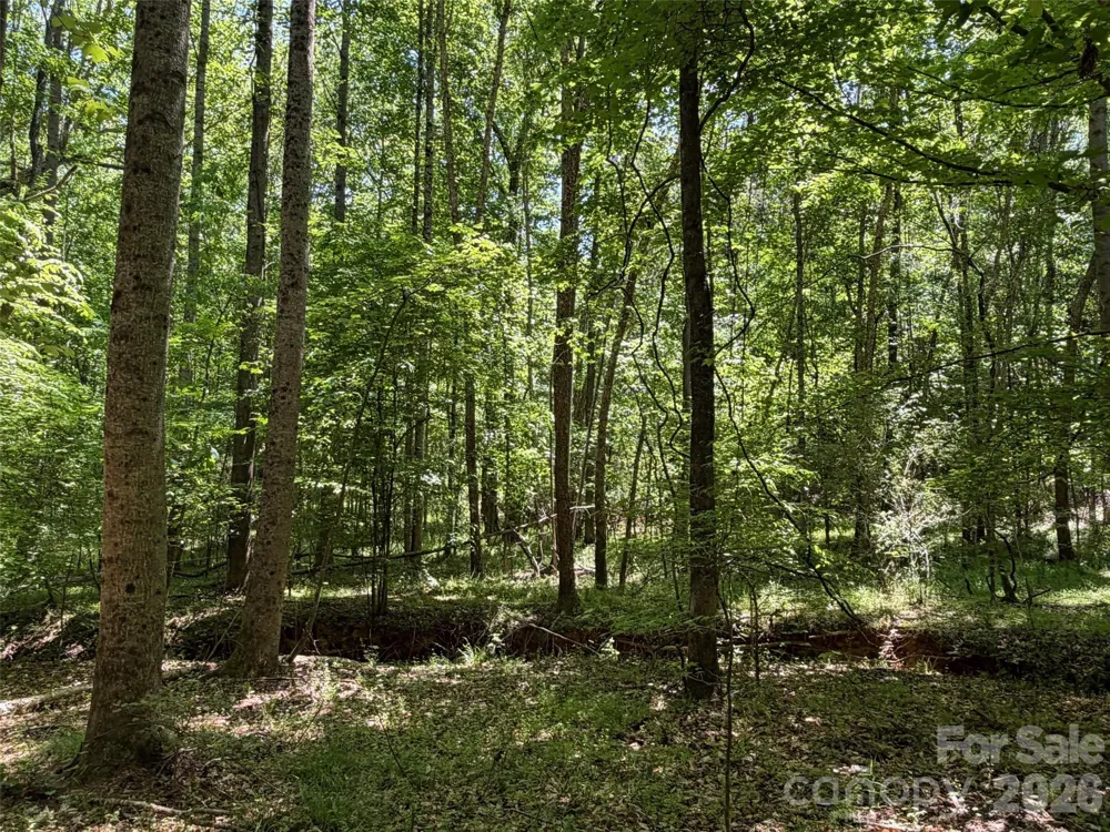 7 AC Terry Drive Highway Union, SC 29379