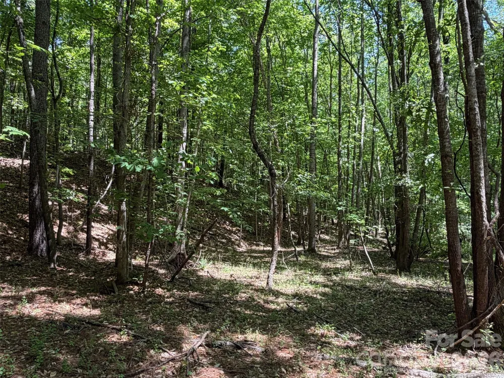 7 AC Terry Drive Highway Union, SC 29379