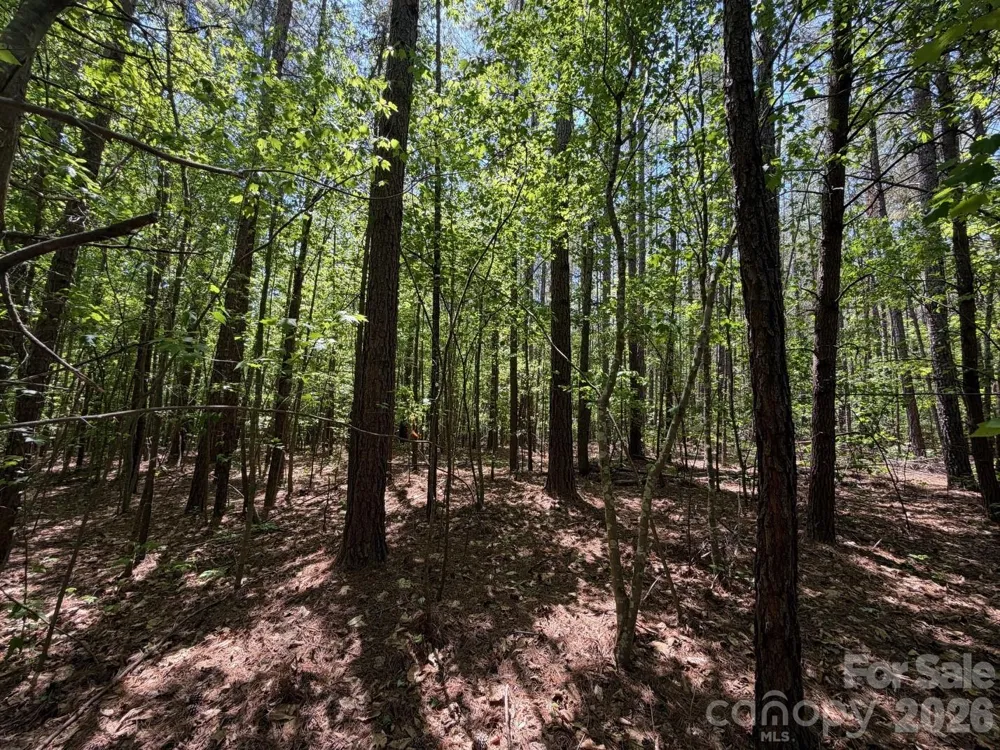 7 AC Terry Drive Highway Union, SC 29379