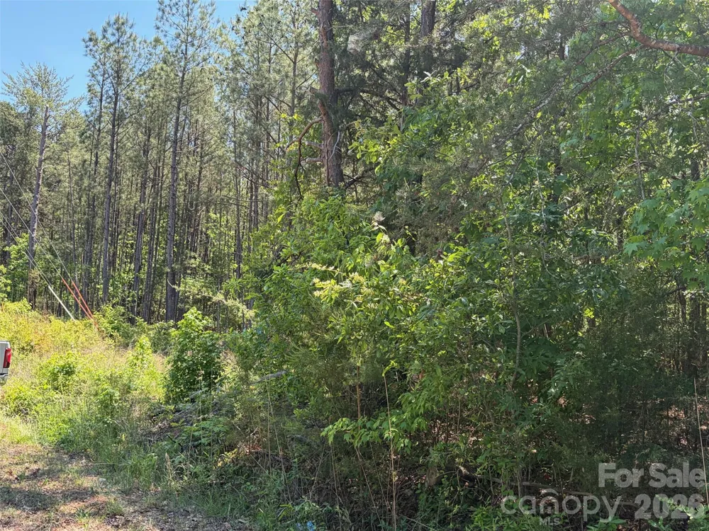 7 AC Terry Drive Highway Union, SC 29379