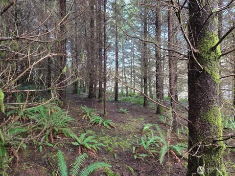 0 End of Workman Creek Road