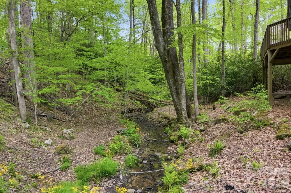 401 Saratoga Boone, NC 28607