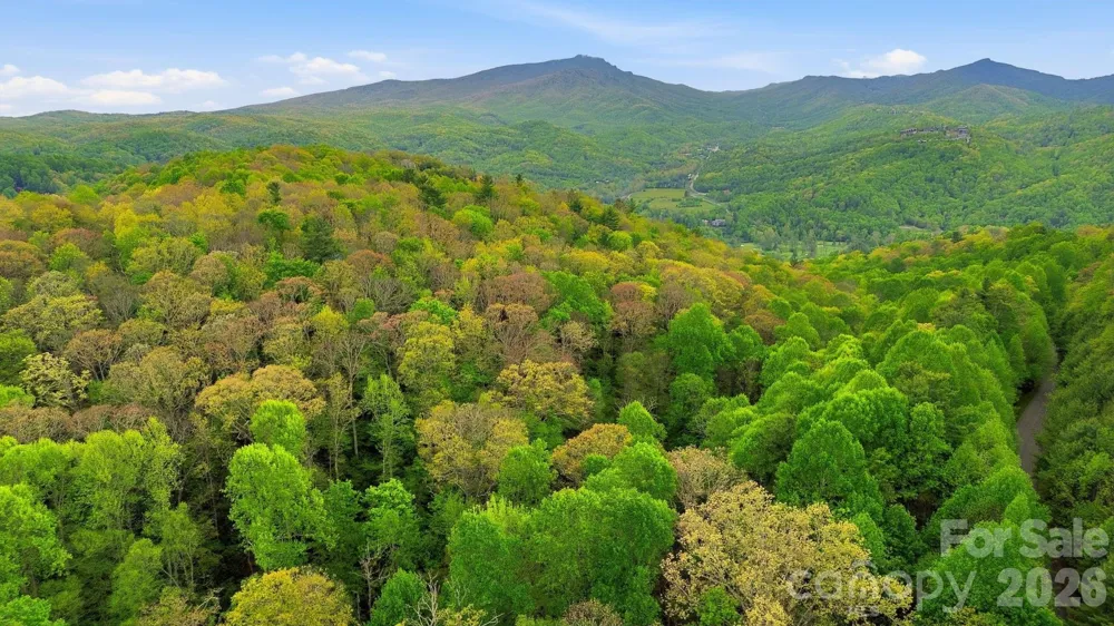 401 Saratoga Boone, NC 28607