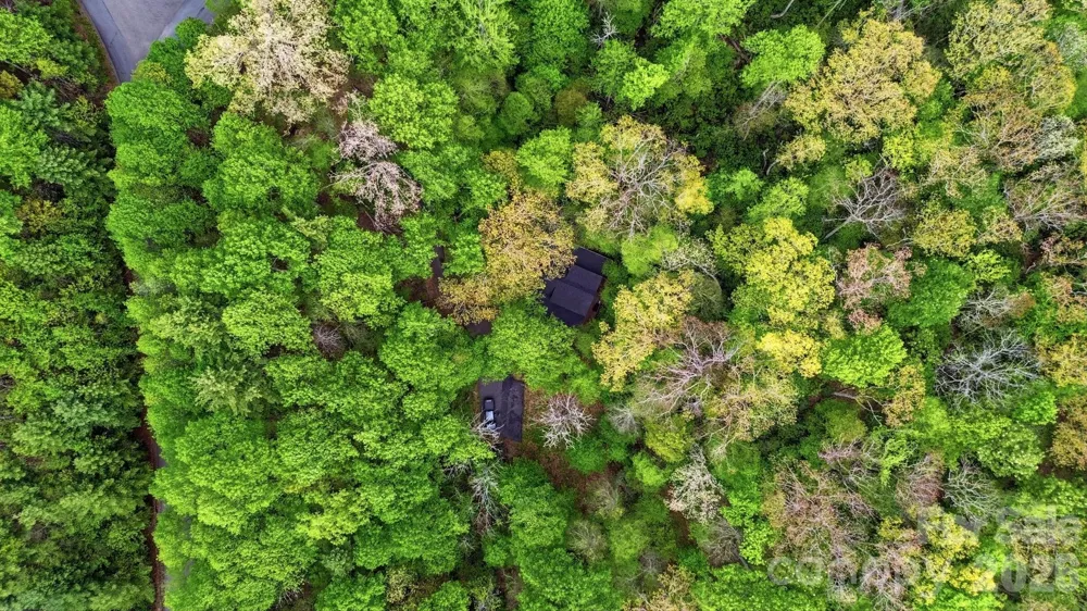 401 Saratoga Boone, NC 28607