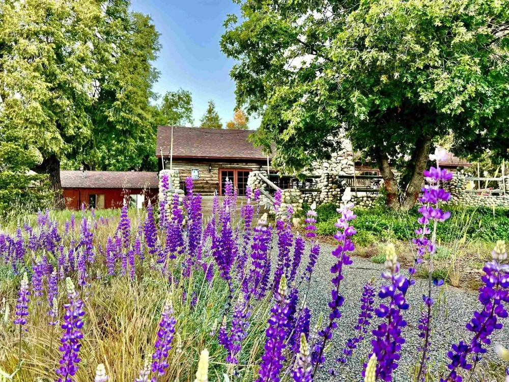 22228 Crestline Road Palomar Mountain, CA 92060