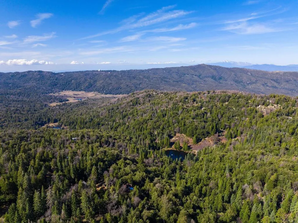 22228 Crestline Road Palomar Mountain, CA 92060