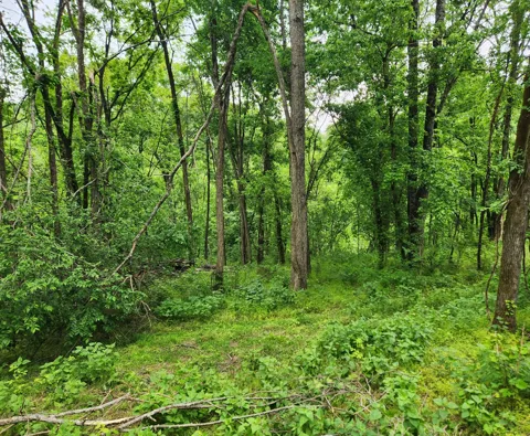 0 Thompson Hill Road