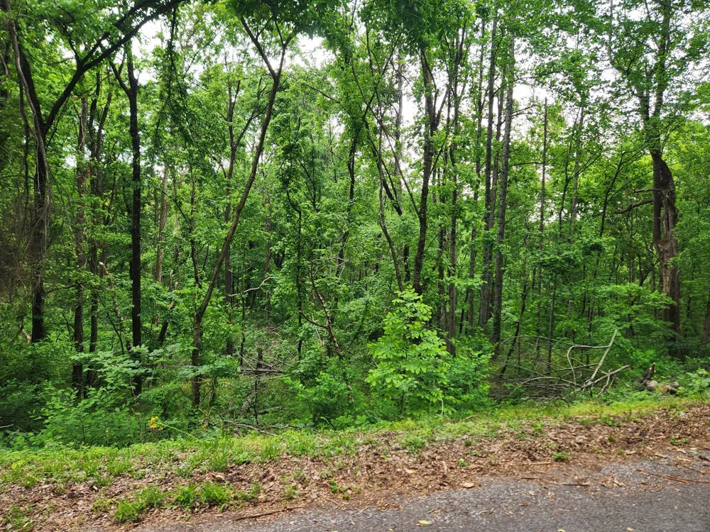 0 Thompson Hill Road Bethpage, TN 37022