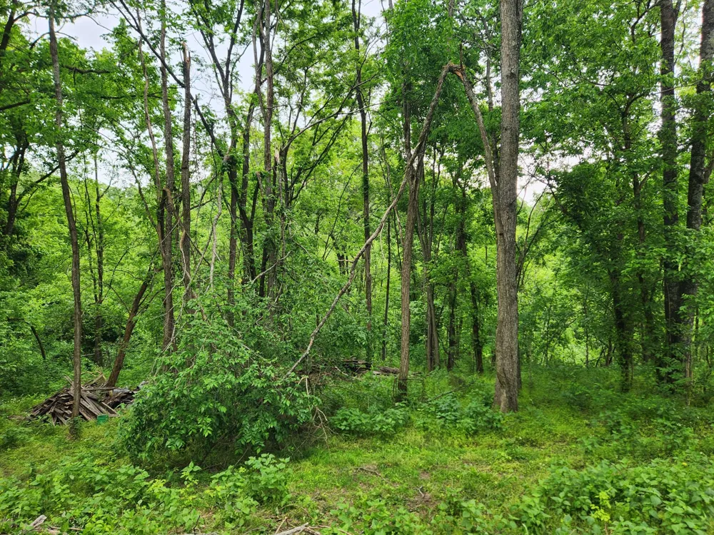0 Thompson Hill Road Bethpage, TN 37022