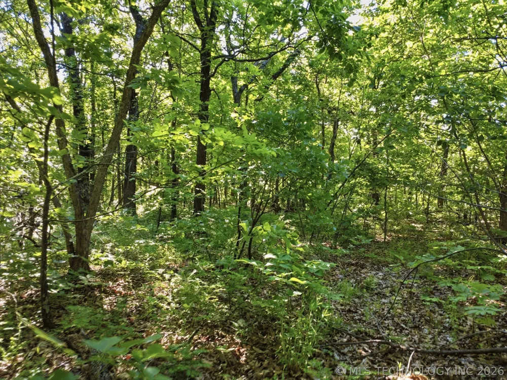 1 S 4210 ROAD Chelsea, OK 74016