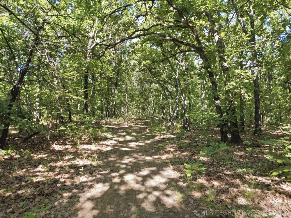 1 S 4210 ROAD Chelsea, OK 74016