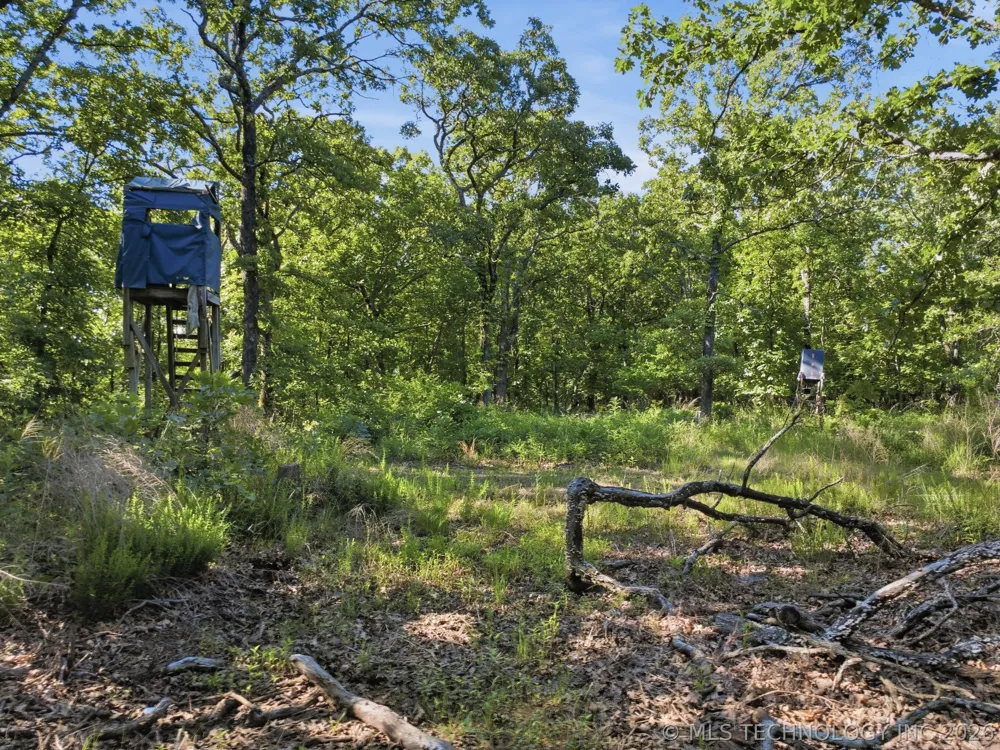 1 S 4210 ROAD Chelsea, OK 74016