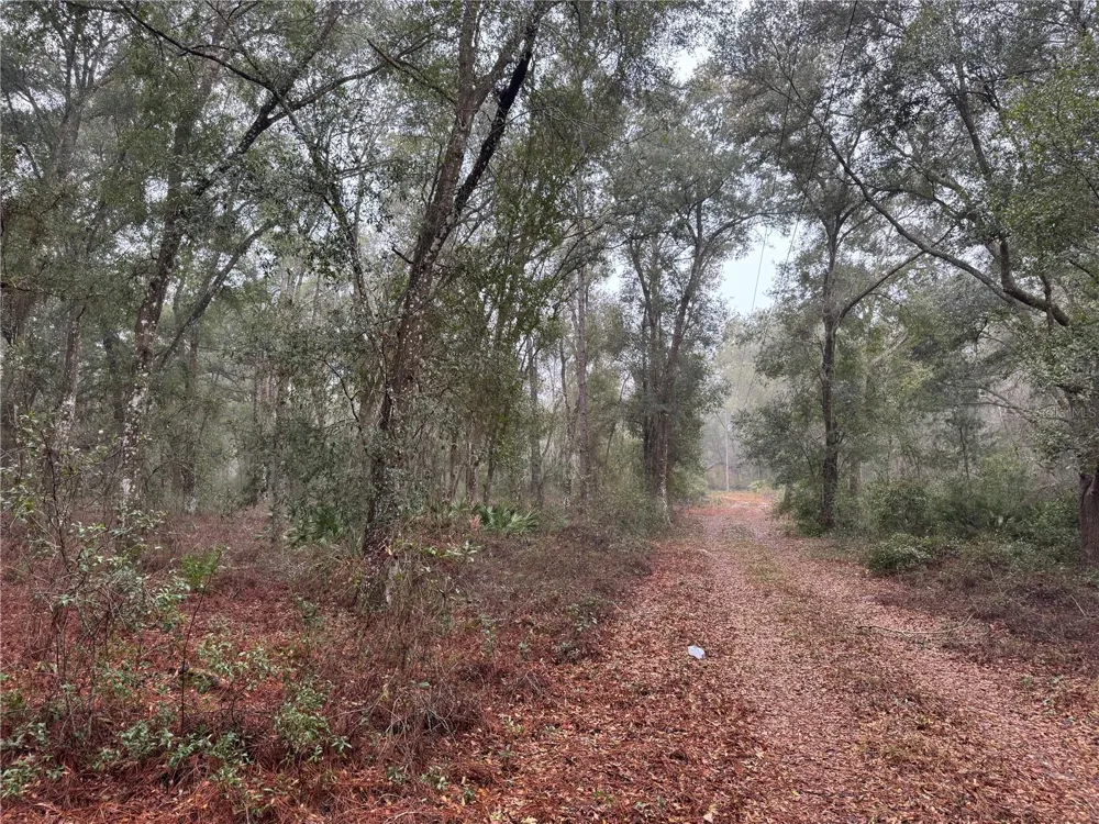 2795 SE 21ST AVENUE Sumterville, FL 33585