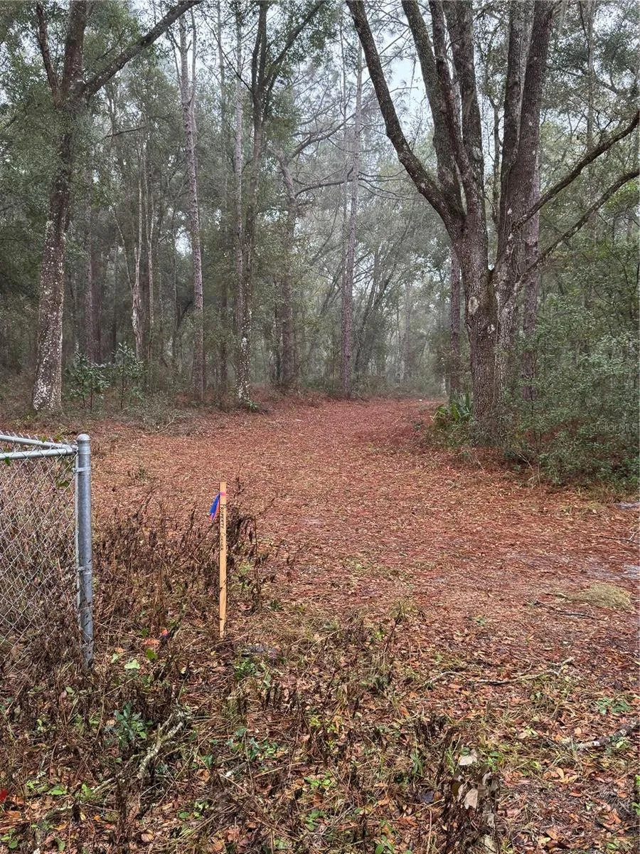 2795 SE 21ST AVENUE Sumterville, FL 33585
