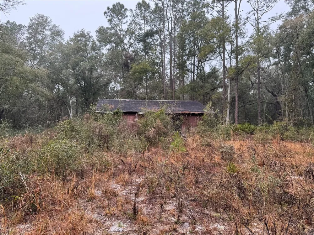 2795 SE 21ST AVENUE Sumterville, FL 33585