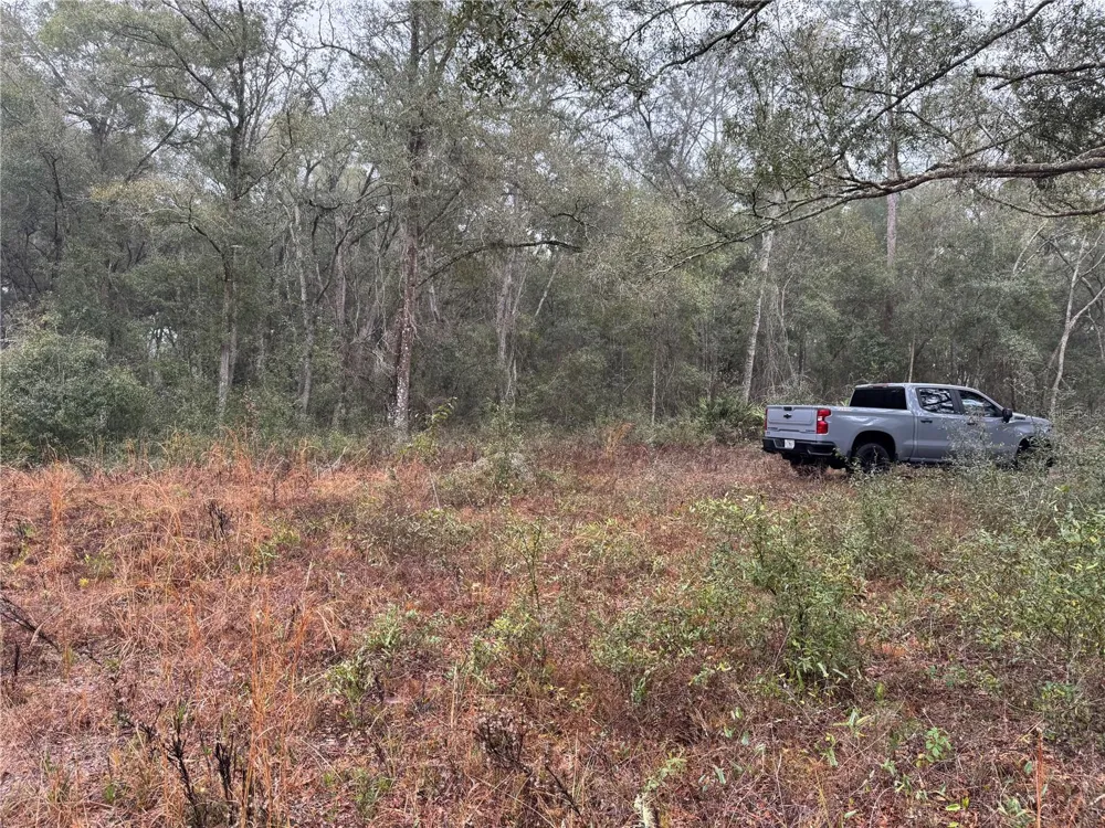 2795 SE 21ST AVENUE Sumterville, FL 33585