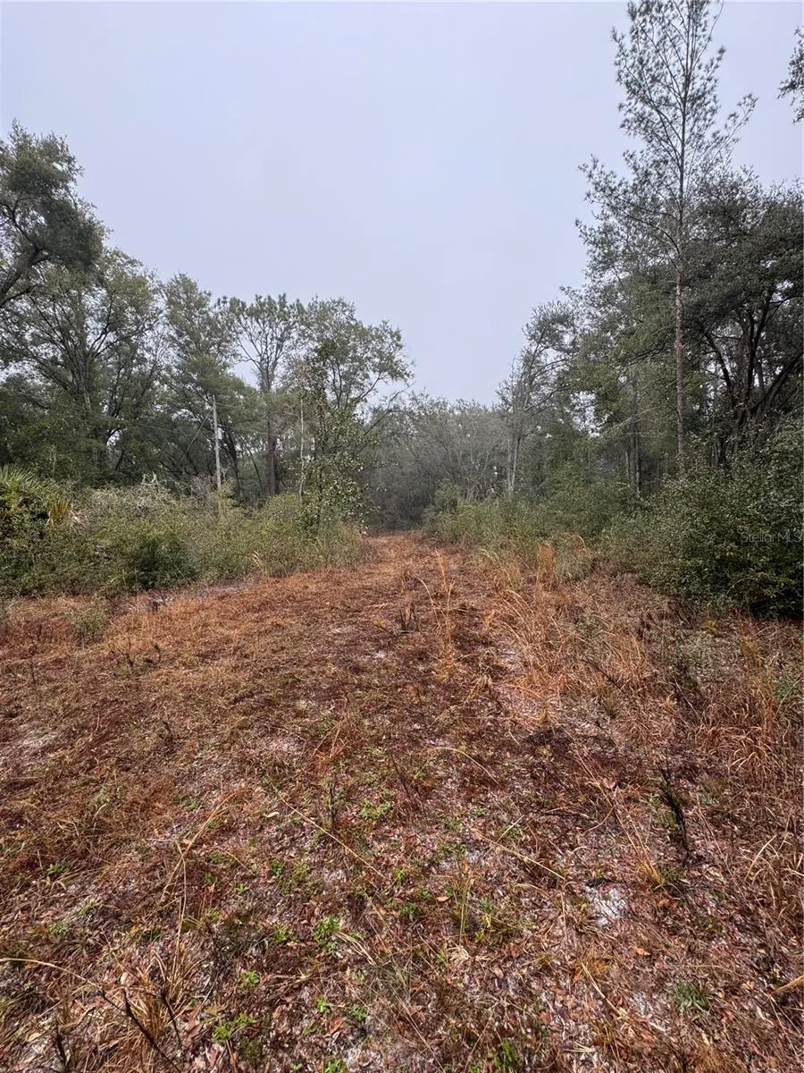 2795 SE 21ST AVENUE Sumterville, FL 33585